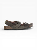 ADAX 737 brown